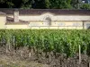Vinhedo de Bordeaux - Vinhas e adegas do Château Margaux