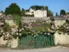 Vinhedo de Bordeaux - Château Lafite Rothschild e seu parque, vinha em Pauillac, no Médoc
