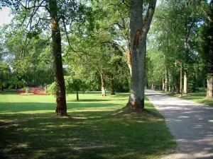 Vittel - Parc thermal avec arbres et allée