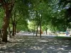 Vittel - Allée ombragée du parc thermal avec arbres, carrousel et terrasse de café