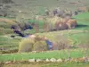 Vivarais-Lignon plateau