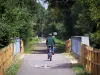 Voie Verte - Fietsers (fietsen) op het spoor van Voie Verte (oude spoorweg), bomen