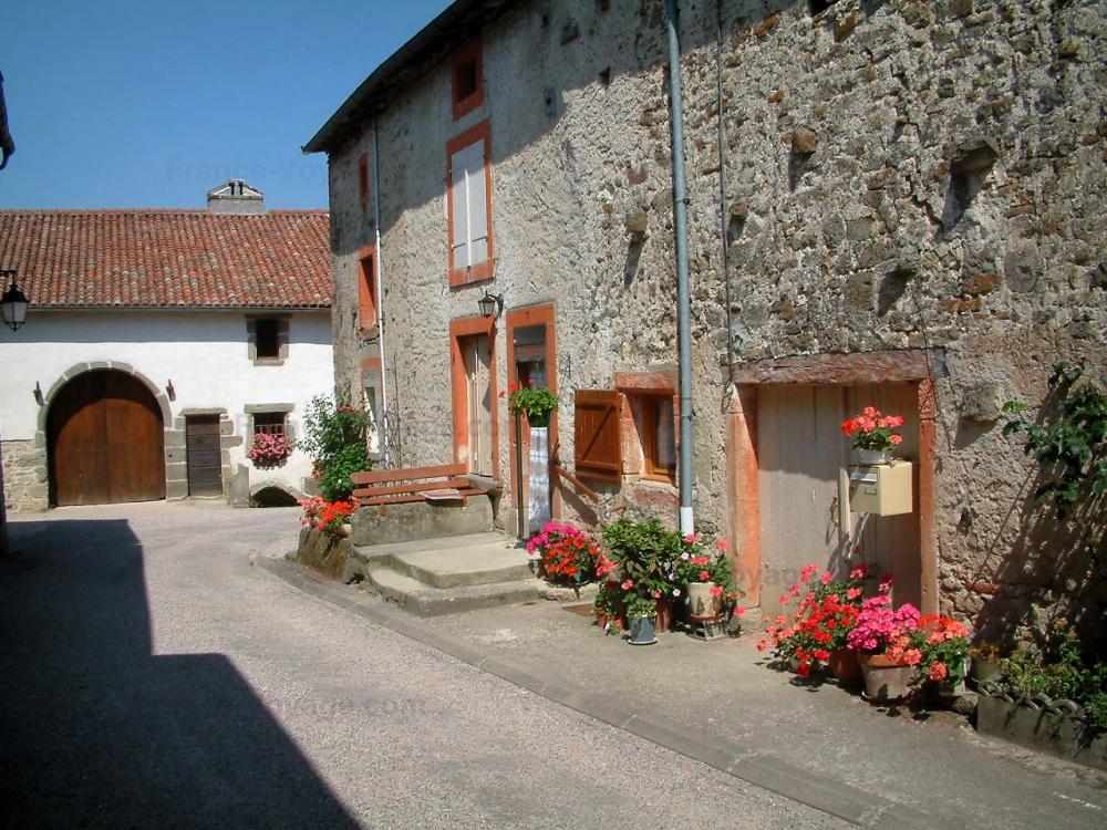 Guide des Vosges - Châtillon-sur-Saône - Maisons du village fortifié avec des fleurs
