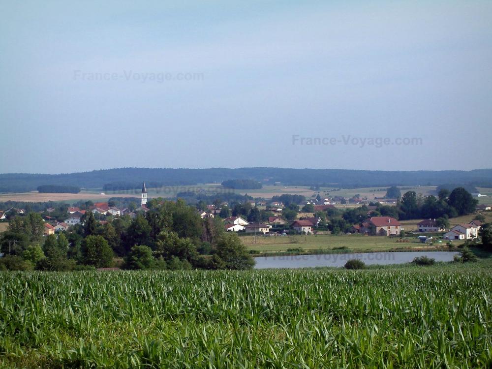 Guide des Vosges - Paysages des Vosges - Champ de maïs, arbres, étang, maisons d'un village et forêt en arrière-plan