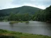 Vosges (Northern)