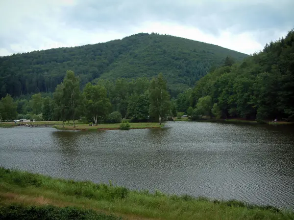 Vosges (Northern) - Shore, lake, trees and hill with forest (Northern Vosges Regional Nature Park)