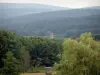 VosgesSaônoises - 树木，宗教建筑和森林覆盖的山丘（地区自然公园的气球孚日省）