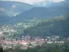 VosgesSaônoises - 被森林覆盖的丘陵和山脉环绕的城市（地区自然公园的气球孚日省）