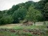 Vosgos del Norte - Flores silvestres (amapola), la hierba, los árboles y la casa pequeña (Parque Natural Regional de Vosgos del Norte)