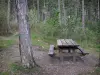 Wald Boscodon - Picknick-Tisch und Bäume; im Nationalpark Écrins