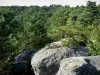 Wald von Fontainebleau - Schluchten Franchard: Felsen und Waldbäume