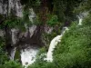 Waterval van de Billaude - Waterval, rotswanden, bomen en struiken