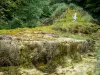 Waterval van Étufs - Petrifying waterval en de omgeving, in een groene, over de gemeente Rouvres-sur-Aube