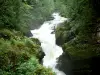 De watervallen van de Ain - Watervallen van de Ain: Keel, Ain rivier de met bomen omzoomde