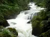 De watervallen van de Ain - Watervallen van de Ain: Keel, Ain rivier de met bomen omzoomde