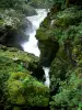 De watervallen van de Ain - Watervallen van de Ain: Smalle kloof en de rivier de Ain