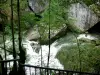 De watervallen van de Ain - Watervallen van de Ain: Rotsen, bomen en rivier de Ain