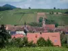 Wijnroute - Dorp van Riquewihr en wijnranken begroeide heuvel op de achtergrond