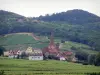 Wijnroute - Niedermorschwihr dorp omgeven door wijngaarden, heuvels op de achtergrond