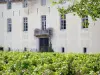 Wijnstreek van Côte de Beaune - Château de Savigny-lès-Beaune en wijngaarden