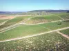 Wijnstreeken van de Yonne - Wijngaardvelden van de Chablis-wijngaard afgewisseld met wegen en paden