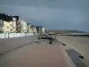 Wimereux - Küste Opale: Digue-Promenade, Kabinen, Villen und Häuser, Sandstrand, Küstengebiet und Meer ( der Ärmelkanal)