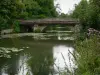 Yerres valley - Soulins bridge spanning River Yerres, trees and vegetation along the water, in Brunoy