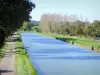 Yonne的景观 - 勃艮第运河及其树木林立的拖径