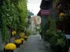 Yvoire - Beco florido da vila medieval, casas, vasos e plantas trepadeiras