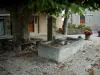 Yvoire - Place pavée agrémentée d'une fontaine, d'un arbre et de pots de fleurs