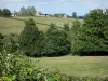 Zona rural de bourbon - Pastagens, árvores e casas