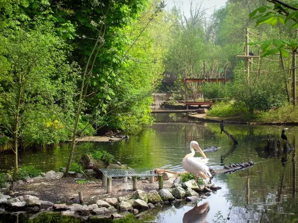 El Zoo de Lille - Guía turismo, vacaciones y fines de semana en Norte