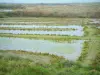 De zoutpannen van Guérande - Gids voor toerisme, vakantie & weekend in de Loire-Atlantique