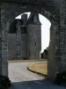 Замок Сен-Пьер - Вход в замок