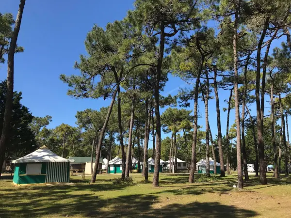 キャンピング ラ ゴートレル - キャンプ - ヴァカンスと週末のSaint-Georges-d'Oléron