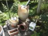 ザ・ロジス・デュ・フォー - 庭の陶器