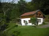 可爱的小屋在Hautes-Vosges - 租赁 - 假期及周末游在Le Thillot