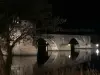 夜幕降临时参观阿维尼翁 - 活动 - 假期及周末游在Avignon
