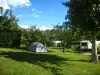 果樹園のキャンプ - キャンプ場