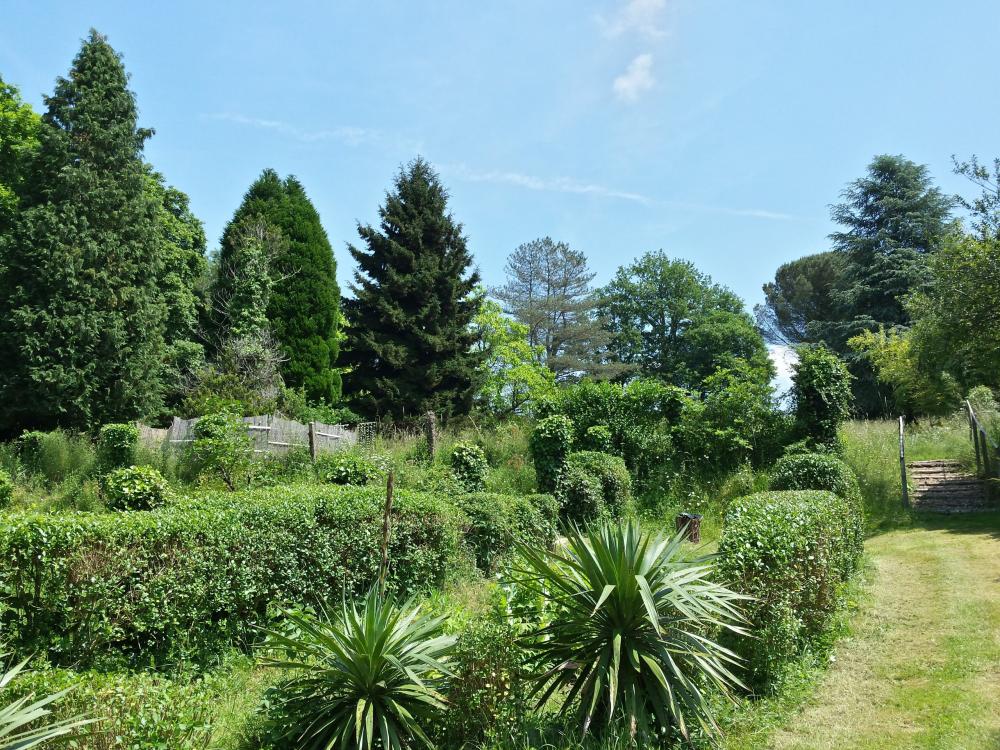 13 Bees - Die Wege im Garten
