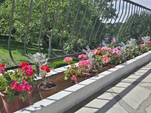 13 Bees - Die Terrasse