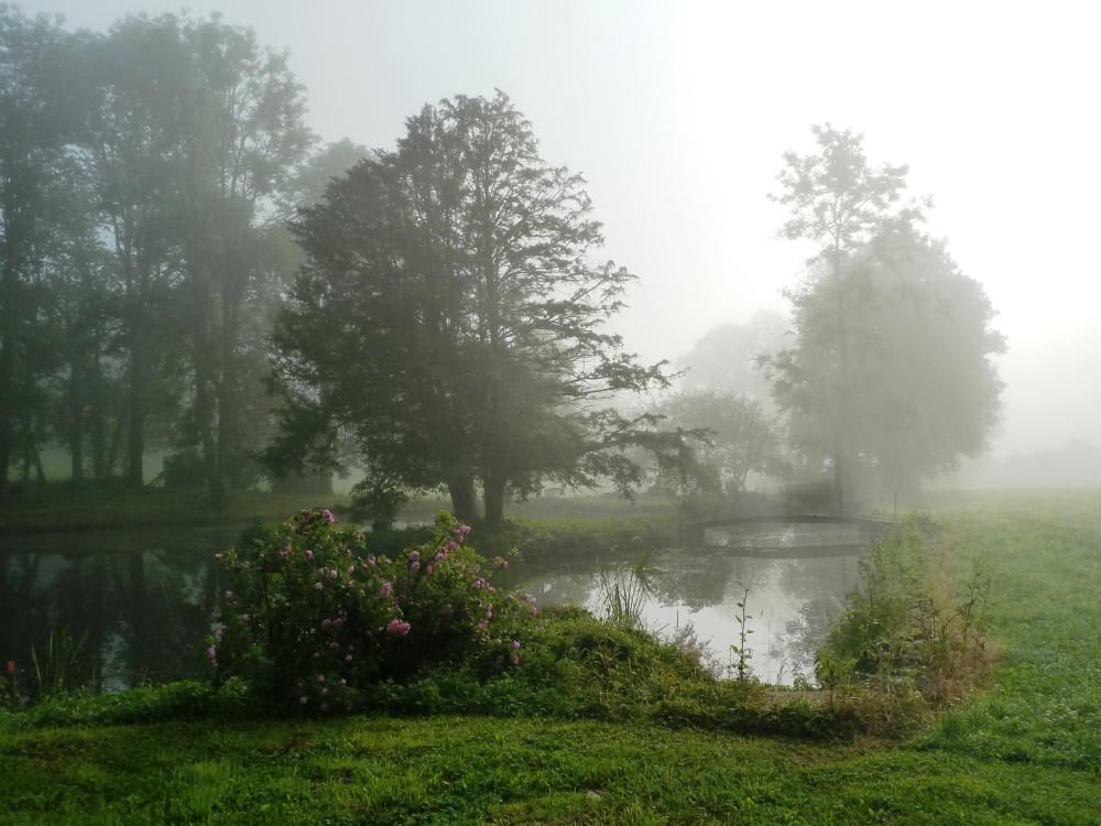 Abtei Septfontaines - Der Teich in der Morgendämmerung