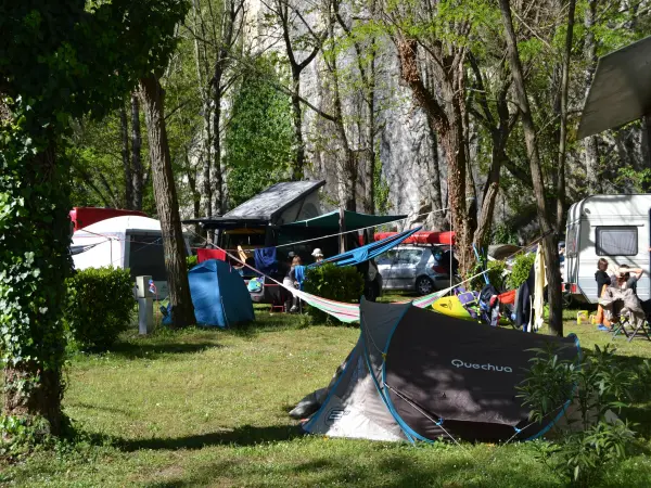 Actinidias Kamping - Campingplatz - Urlaub & Wochenende in Casteljau
