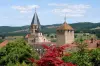 Admission to Cluny Abbey and the Museum of Art and Archaeology - Activity - Holidays & weekends in Lyon