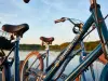 Alquiler de bicicleta en las Landas - Actividad - Vacaciones y fines de semana en Léon