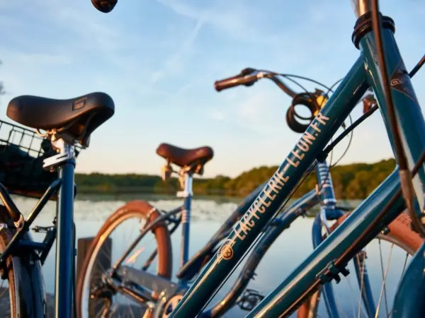 Alquiler de Bici : Bicicleta Adultos, Moliets, Landas