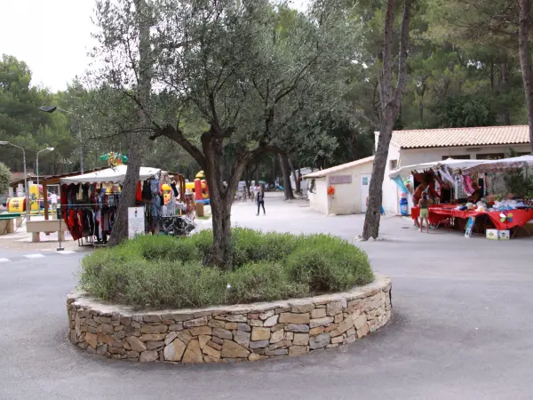 Os altos pinheiros - Parque de campismo - Férias & final de semana em Le Castellet