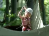 Arvorismo do parque de aventura na floresta de Vizzavona - 1 hora de Ajaccio - Atividade - Férias & final de semana em Vivario