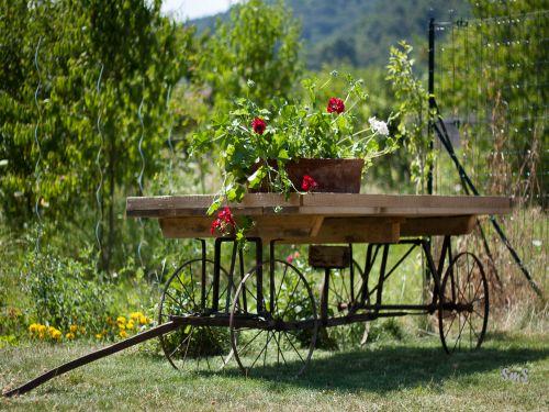 Au Coeur d'Alsace - Der Wagen in der Garten
