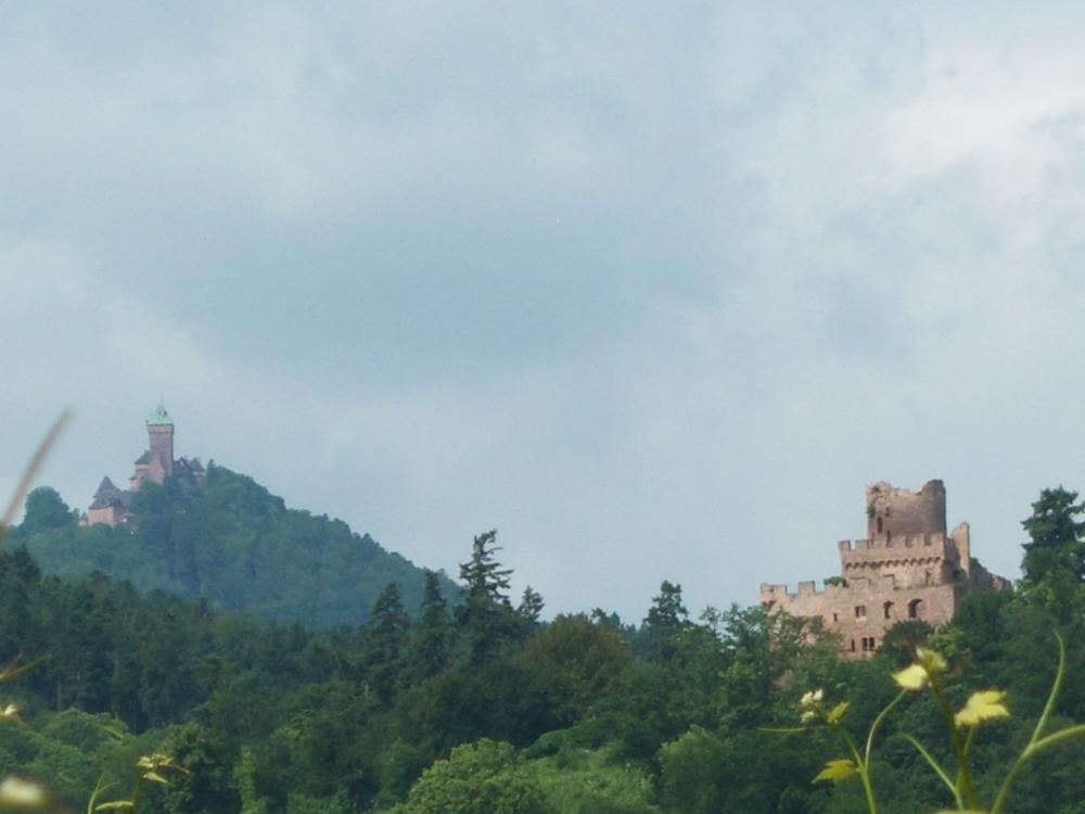 Au Coeur d'Alsace - Schloß von kintzheim